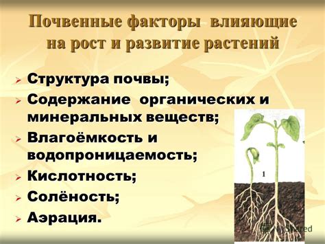 Факторы, влияющие на рост и развитие растений