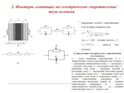 Факторы, влияющие на сопротивление тела человека