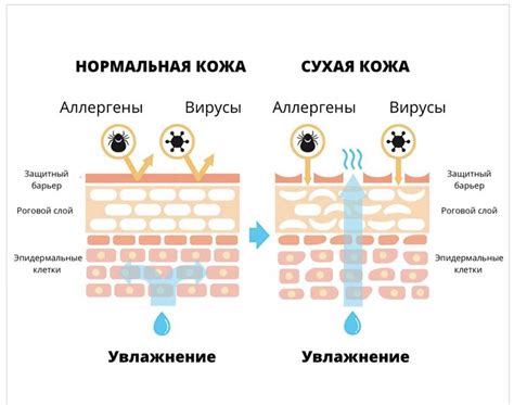 Факторы, негативно влияющие на липидный слой кожи