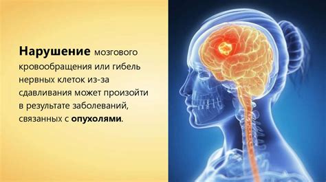 Факторы, способствующие развитию проблем в работе малоподвижной нервной системы