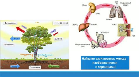 Ферментационные методы для выделения веществ из живых организмов