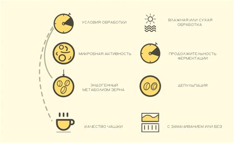 Ферментация: процесс, придающий неподражаемый вкус