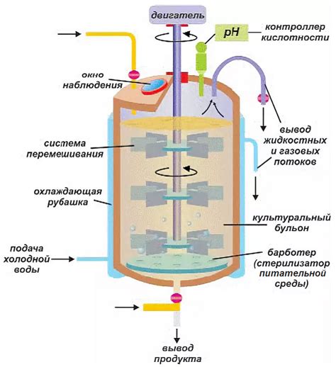 Ферментация сока