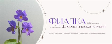 Фиалка: флористика и букеты