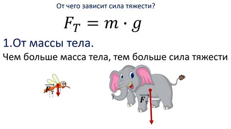 Физика: сила тяготения и ее значение