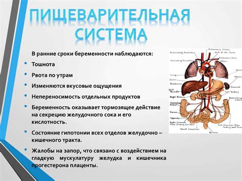 Физиологические изменения в организме козы во время охоты