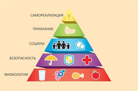 Физиологические потребности и основы жизнедеятельности