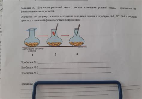 Физиологические процессы