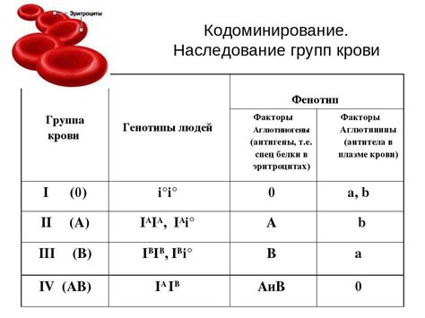 Физиология составления группы крови