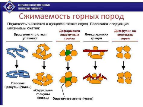 Физические особенности пород