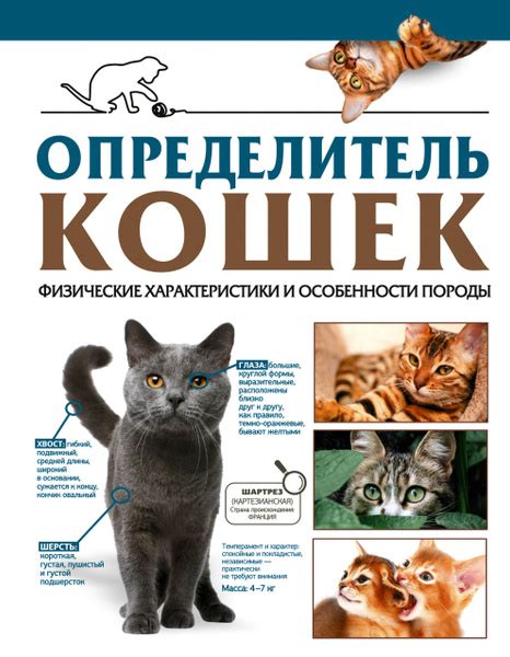 Физические преграды для кошек