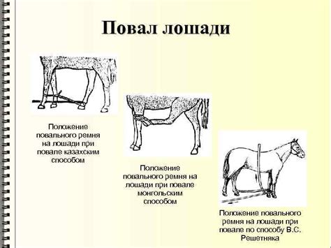 Фиксация и раскручивание кудрей