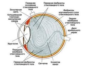 Финальное придание глазу законченного вида