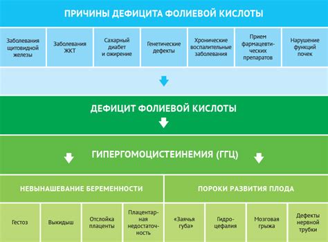 Фолиевая кислота и фолиевая: недостаток и последствия