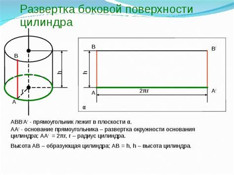 Форма боковой поверхности цилиндра