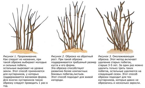 Формирование и остывание