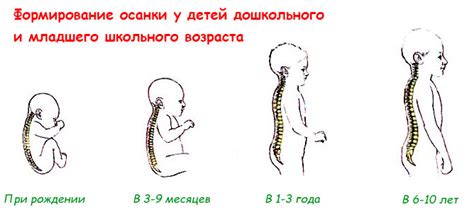 Формирование осанки и грации