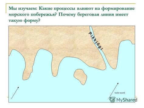 Формирование побережья