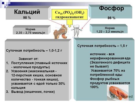 Функции билирубината кальция в организме