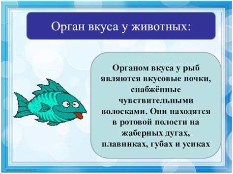 Функции боковой линии у костных рыб