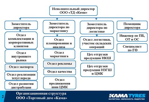 Функции и задачи исполнительного директора