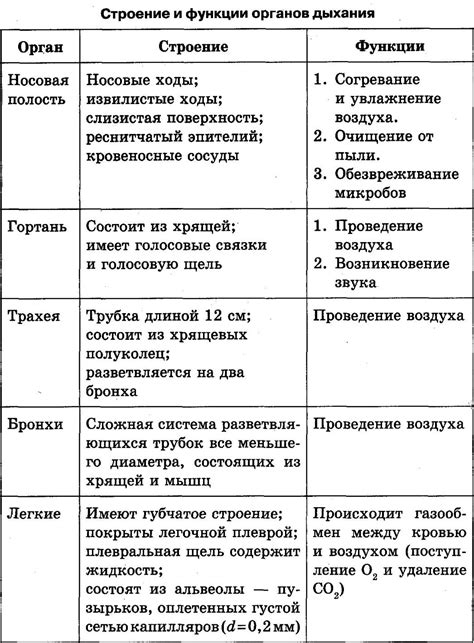 Функции и особенности флага в игре