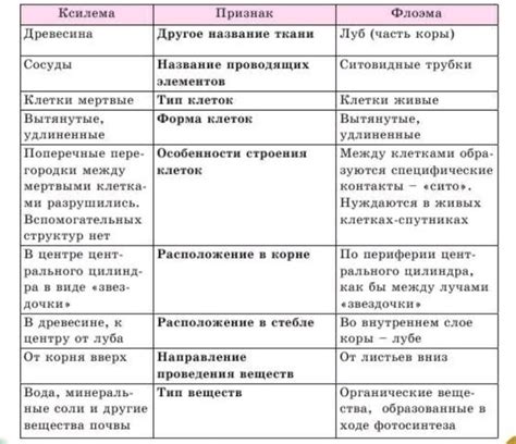 Функции ксилемы и флоэмы