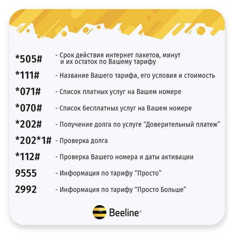 Функции номера телефона Билайн 2022