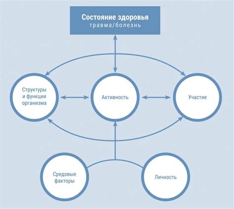 Функции физиологии человека