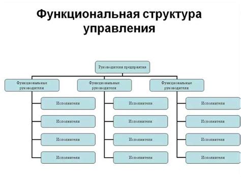 Функциональная система: определение и понятие