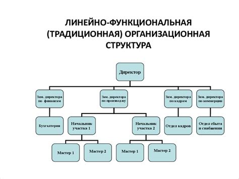 Функциональная структура