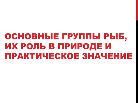 Функционал АТПО - основные возможности и практическое значение