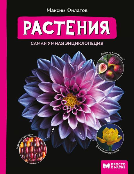 Характеристики растения