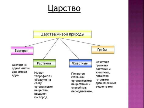 Характерные признаки