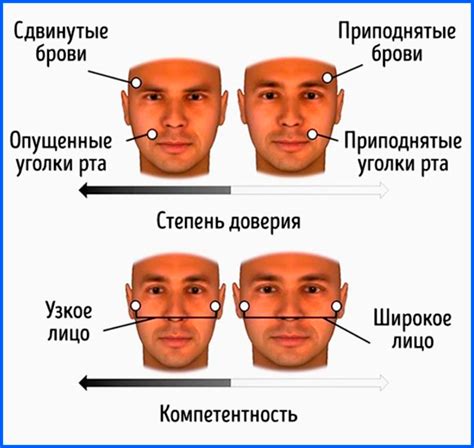 Характерные черты лица