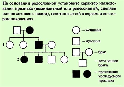 Хондродисплазия: родословная и наследственность