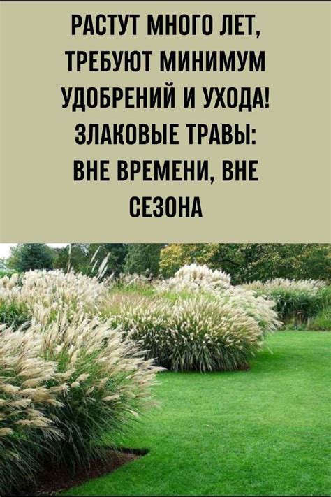 Хранение и уход вне сезона