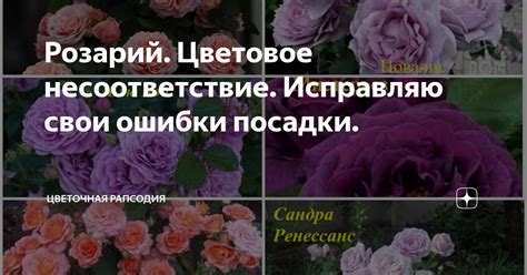 Цветовое несоответствие