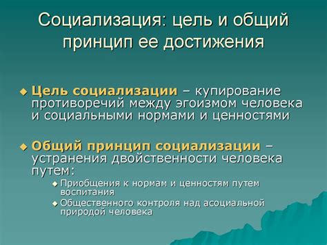 Цели социализации