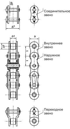 Цепь гирлянды: общая информация