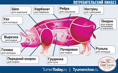 Части свинины для изготовления бекона