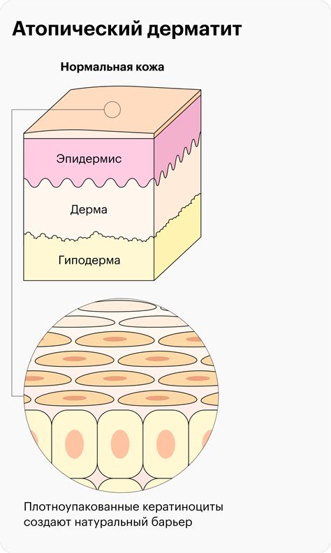 Частота мытья дредлоков: рекомендации экспертов