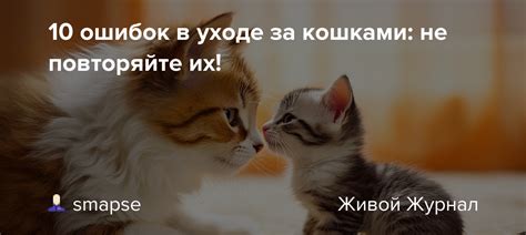 Частые ошибки в уходе за мятой