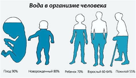 Человек на 80 процентов состоит из...