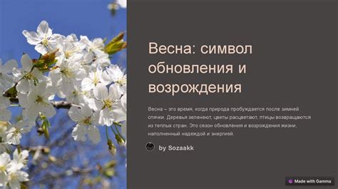 Черемуха в соннике и народных приметах