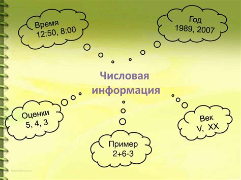 Числовая информация