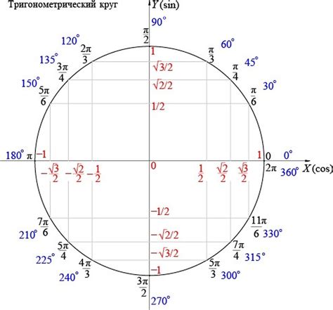 Число пи в геометрии: круг и его окружность