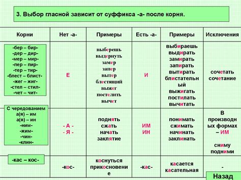 Число пять в русском языке: исторические корни и значения