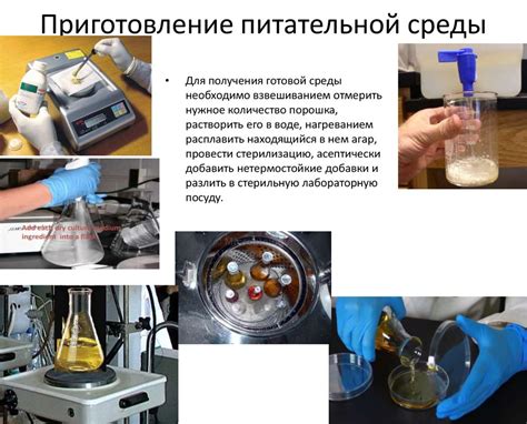 Чистота и стерильность - основные моменты