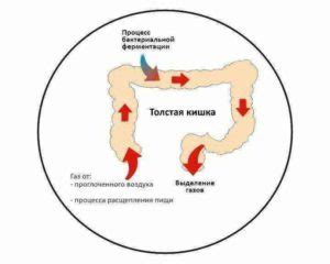 Что вызывает газы в заднем проходе